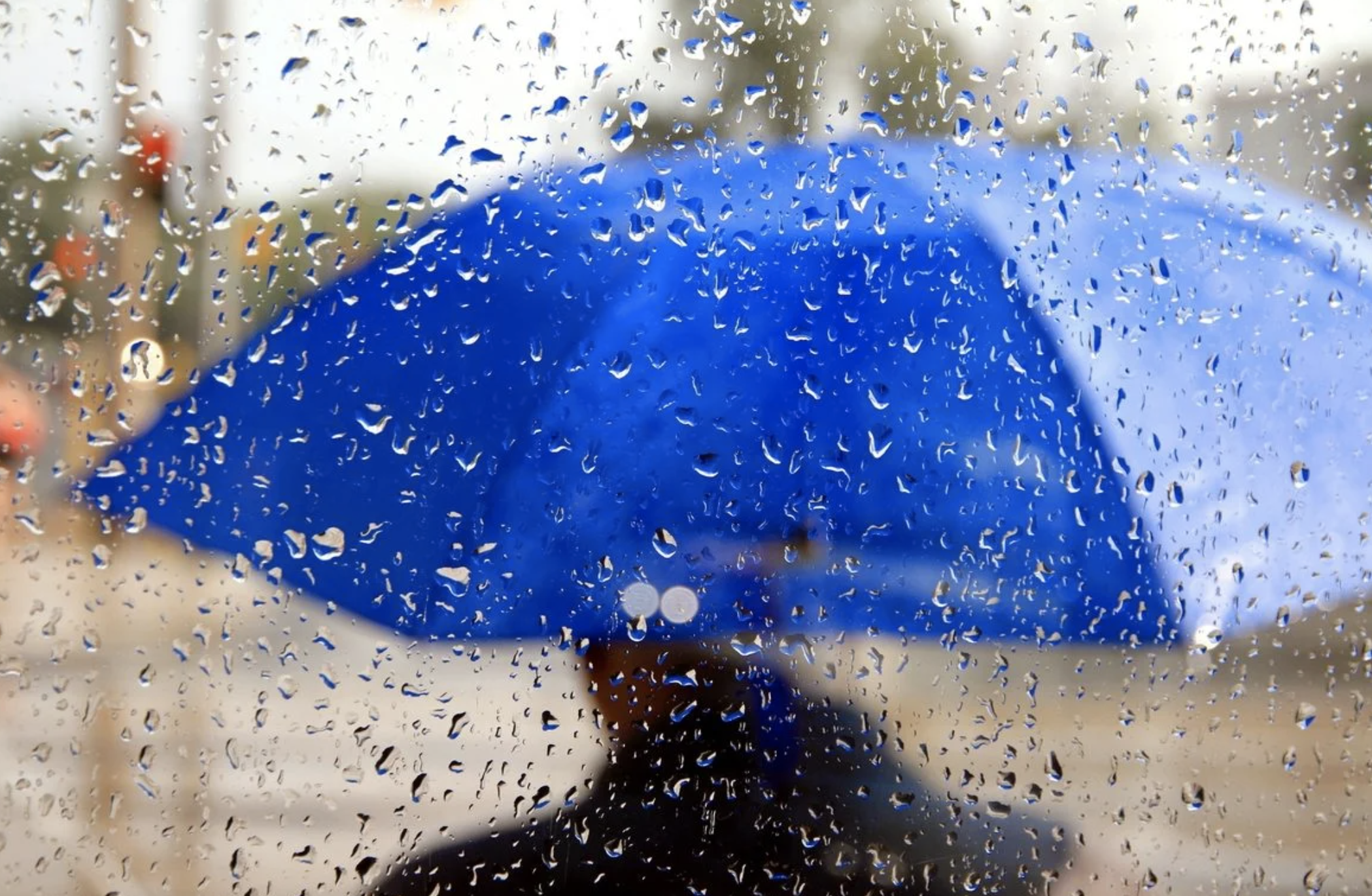 За тиждень на Черкащині випало понад 90 % місячної норми дощу