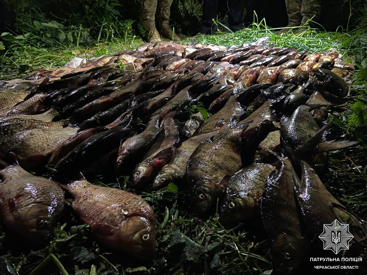 Наловив риби майже на мільйон гривень: на Черкащині виявили браконьєра