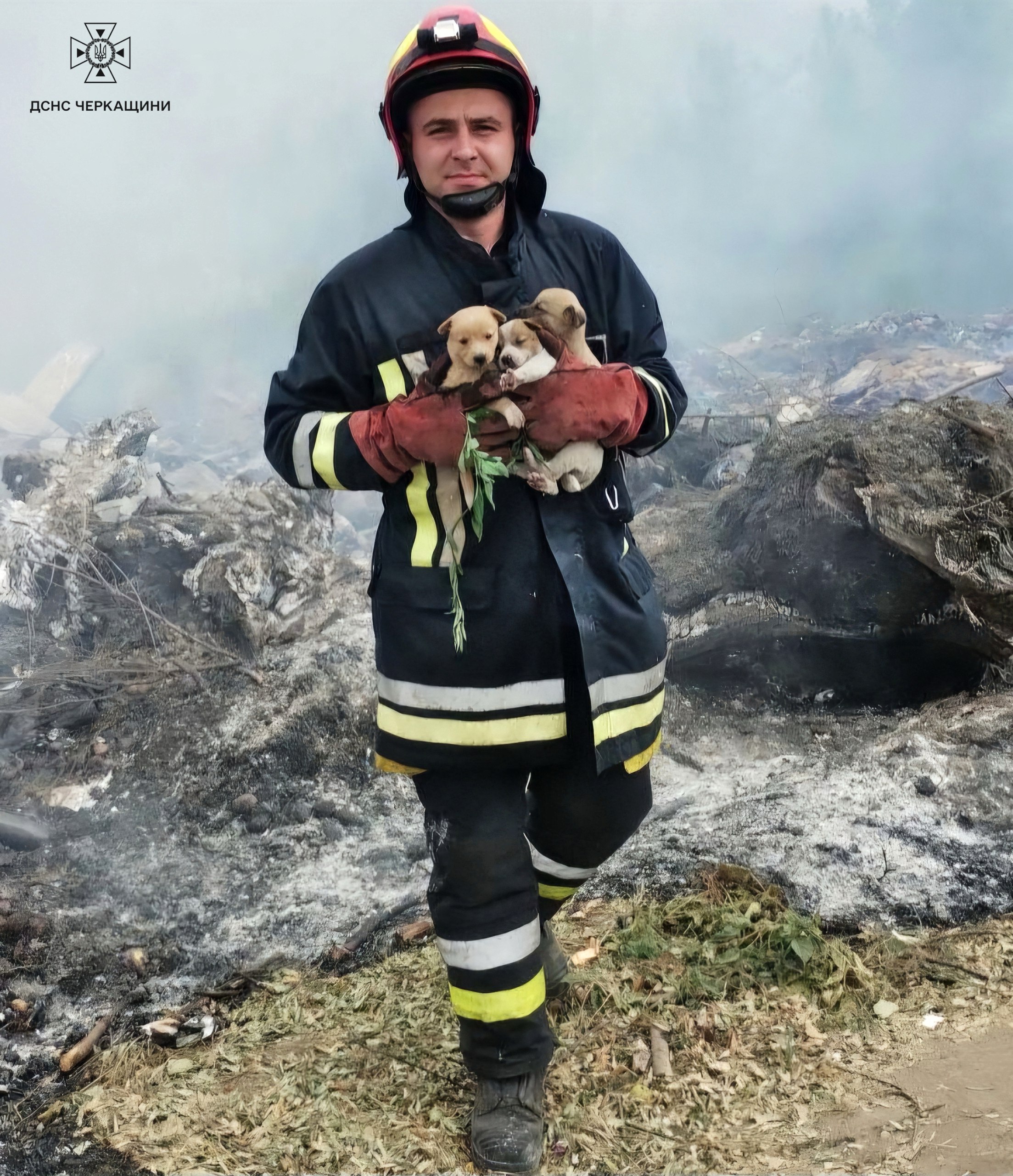 На Звенигородщині із пожежі врятували п’ятеро цуценят