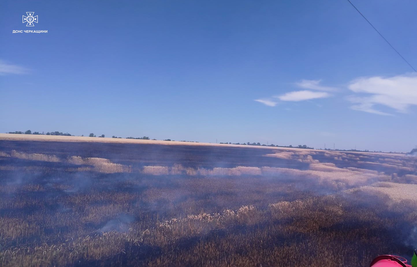 На Звенигородщині загорілося поле з пшеницею