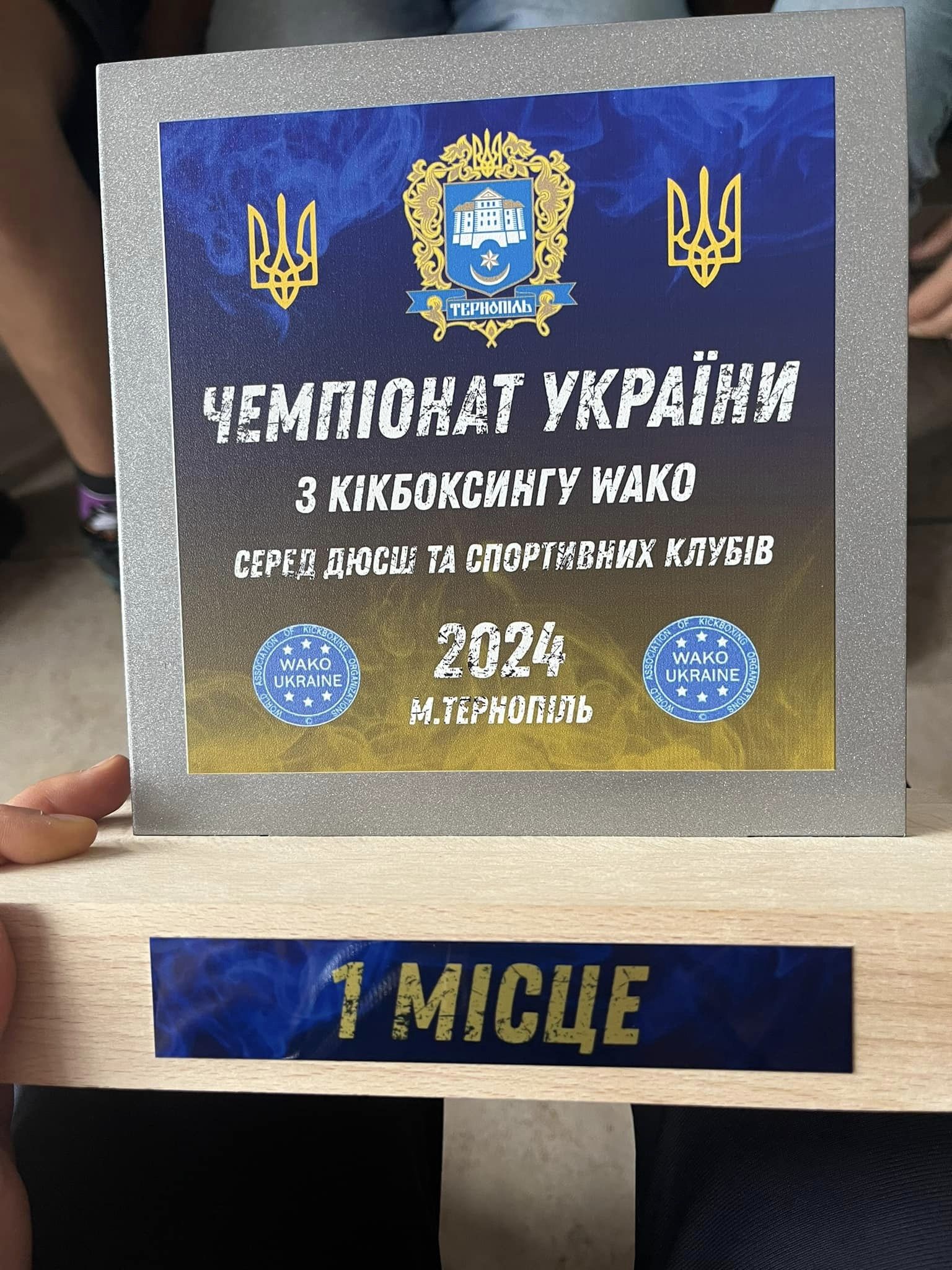 Черкаські спортсмени серед кращих Чемпіонату України з кікбоксингу WAKO